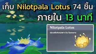 [Genshin impact] เก็บ Nilotpala Lotus 74 ชิ้น ภายใน 13 นาที