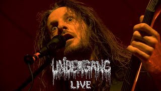 Undergang  - Live at Braincrusher Festival 2019 - FULL SHOW