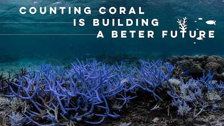Artist and founder of Counting Coral, Jolyon Colli...