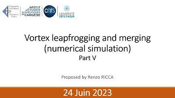 Vortex leapfrogging and merging (numerical simulation) | Renzo Ricca