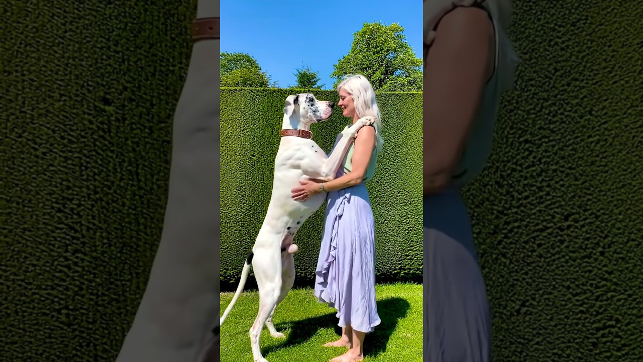 The best couple love Dogs 💝 