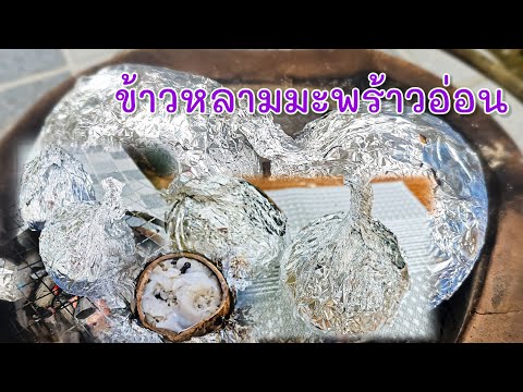 ข้าวหลามมะพร้าวอ่อนแค่เลchannel ข้าวหลามมะพร้าวอ่อน แค่เลchannel