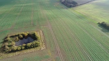 Crop scouting and creating data with drones