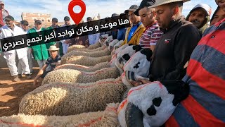 مكان و موعد أكبر تجمع لصردي في المغرب بمنطقة القراقرة بني مسكين إقليم سطات