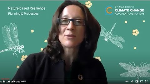 Integrating Nature-based and Ecosystem-based Elements in National Adaptation Planning