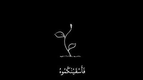 هزاع البلوشي سورة الحجر حالات واتس💙