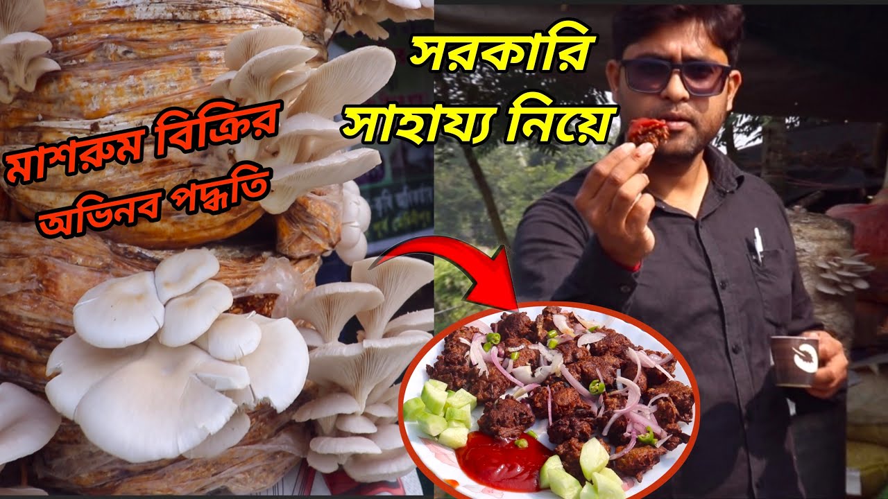 Mushukning makro suratga olish