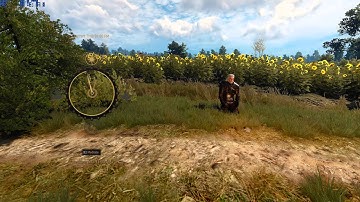 Meditation UI change mod The Witcher 3