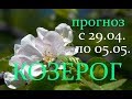 КОЗЕРОГ. ГОРОСКОП на НЕДЕЛЮ с 29.04. по 05.05. 2019 год.