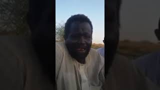 اجمل نمة دوبيت سوداني