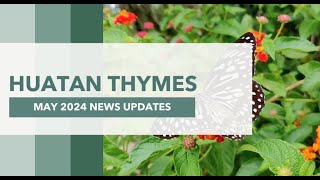 Huatan Thymes May 2024
