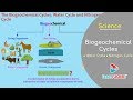 Biogeochemical Cycles: Water and Nitrogen Interactions
