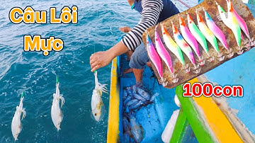 Thả 100 Con Tôm | Kéo Mực Lá, Mực Ống Mỏi Tay | Nghề Dắt Mực(Câu Lôi)