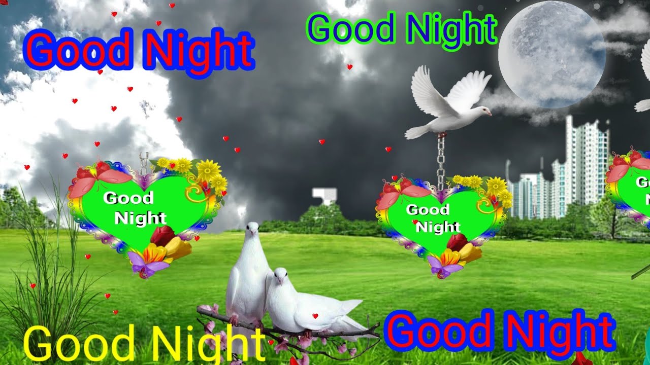 Good night status video शुभ रात्री स्टेटस वीडियो good night whatsapp