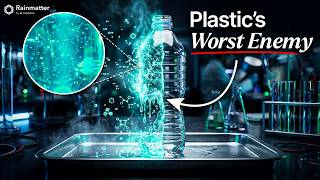 The Plastic-Eating Bacteria That Could Save the World
