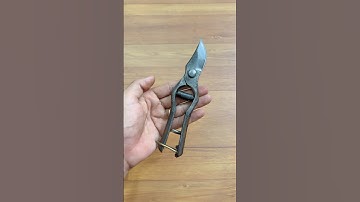 Cắt cành Ốp gỗ Vintage #0376628645 @dungcubonsaihaidu #hàngnhậtbãi #kéocắtcành #donghesuutam