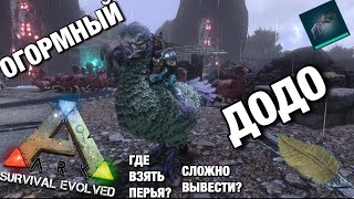 ОГРОМНЫЕ ДОДО В ARK SURVIVAL EVOLVED MOBILE!! КАК ИХ СДЕЛАТЬ И ДЛЯ ЧЕГО ИМ ШЛЕМА!! ГДЕ ВЗЯТЬ ПЕРЬЯ??