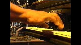 Israel Vibration - Live At Chiemsee Reggae Summer 2002