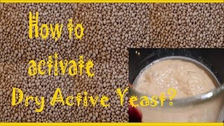 RIGHT WAY OF ACTIVATING DRY YEAST AT HOME: how to make pizza part 1