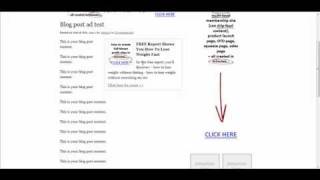 WordPress Profits Theme Insert Blog Post CONTENT Ads/Banners/Images/Optin Form