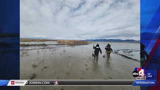Human skeletal remains found in northern Utah bird refuge