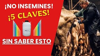 🚨5 KEYS TO INSEMINATING YOUR CATTLE 🚨