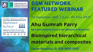 Bioinspired hierarchical materials and composites