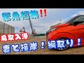 【緊急】【ガット船】休暇中!船から緊急連絡!妻と鳥取港に駆けつけガット船接岸作業!