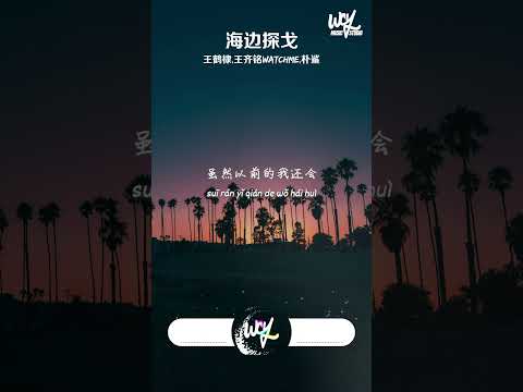 王鹤棣,王齐铭WatchMe,朴鲨 - 海边探戈「带你出去兜兜风然后一起去海边，海风吹乱你的头发让我亲吻你香肩」【動態歌詞/pīn yīn gē cí】#王鹤棣 #王齐铭Watch #shorts