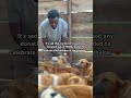 Donate anything you can so that I can celebrate the birthday at the shelter