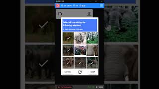 GEETEST Prosopo Captcha Solving tricks and tips #tricksandtips #captcha #captchawork #onlineincome