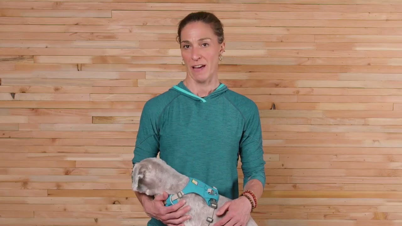 Ruffwear - Knot-A-Leash