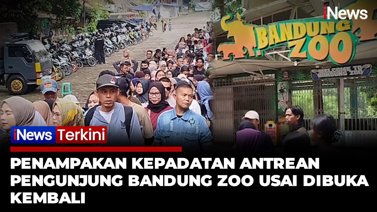 Ribuan Pengunjung Padati Bandung Zoo, Begini Kondisinya Usai Konflik Internal | iNews Terkini (3/1)