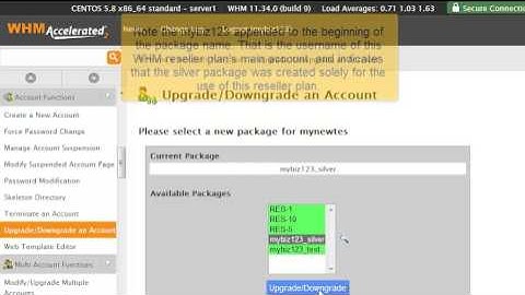 FatCat Servers Video Tutorials - How to upgrade/downgrade an account in WHM