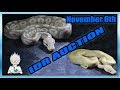 Reptiles for Auction November 6th 2018