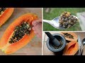 4 दिन पपीते के बीज खाने के बाद जो हुआ उसे सुनकर आप दंग रह जाएँगे | Health Benefits of Papaya Seeds