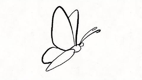 Butterfly animation test (FlipaClip)