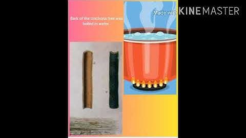 MLZS JHANSI CLASS 5 EVS Diseases Lecture 3