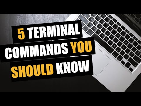 5 Terminal Commands