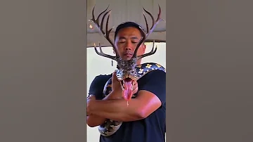 Ebudhou Pakhangba Video Manipur Ancestors Manipuris Explore Manipuri 