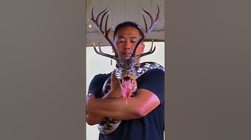 Ebudhou Pakhangba video🙏| Manipur ancestors #manipuris #explore #manipuri