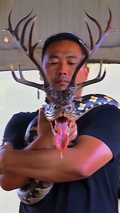 Ebudhou Pakhangba video🙏| Manipur ancestors #manipuris #explore #manipuri