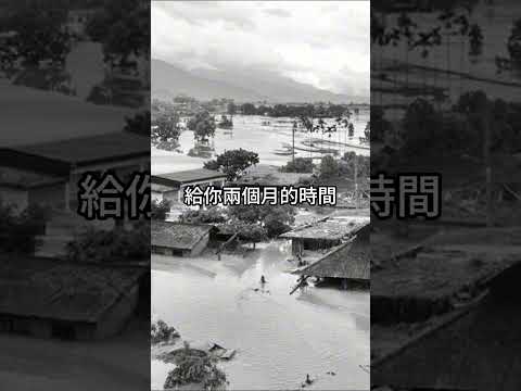 沒出息 袂見笑 搖滾完整版