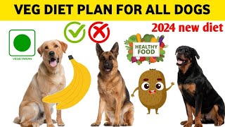 Best veg diet plan  for any dog breed/ vegetarian food for dog by At Mix 742 views 3 weeks ago 5 minutes, 44 seconds