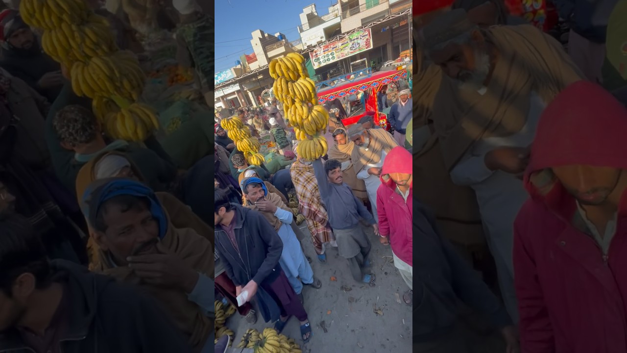 Banana price update today #