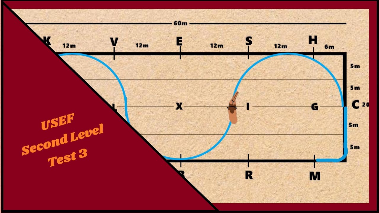 2019 USEF Second Level Test 3 YouTube