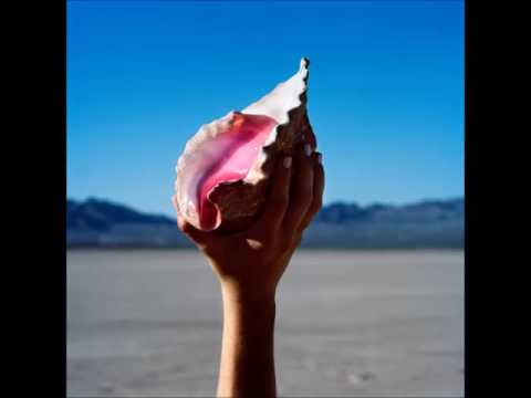 The Killers - Run For Cover (Áudio)