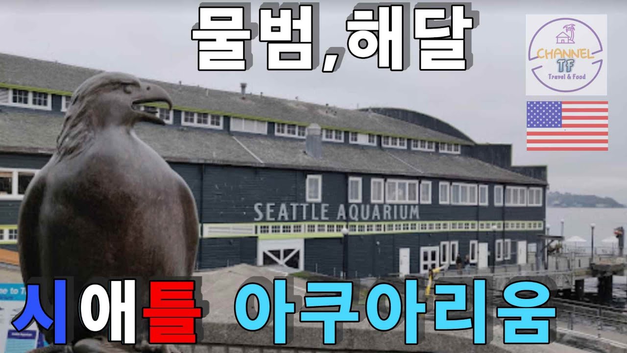 [랜선여행] 시애틀 아쿠아리움 Seattle Aquarium YouTube
