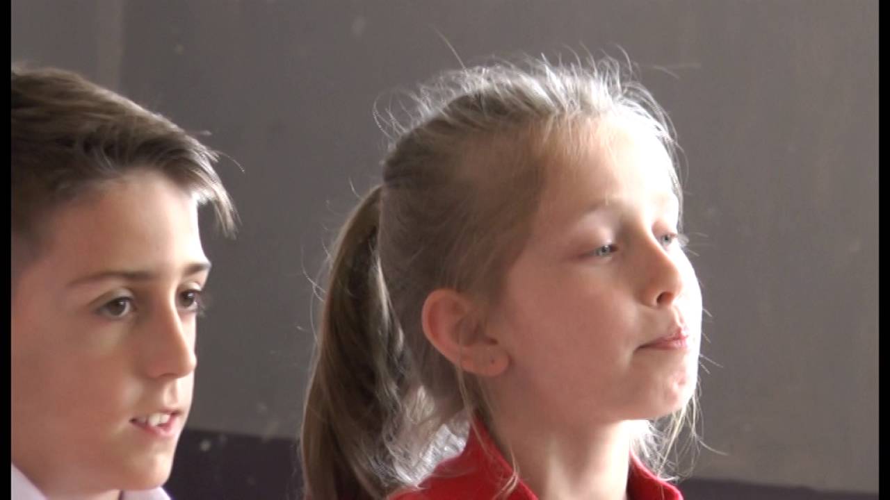 OS - Dositej Obradovic  - Erdec