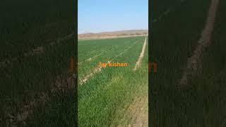 #jay kishan#vairal#vidyo#travel#vairal#reaction#reaction#vloguru#motivation#